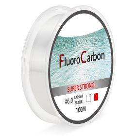 100 Meter Competitive Silk Nylon Fishing Line (Option: Transparent-2.0)